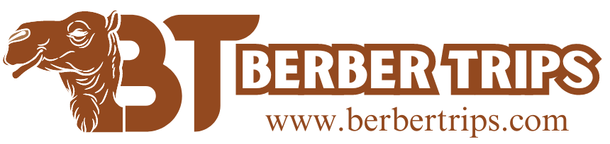 logo berber trip